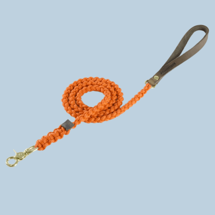 Molly & Stitch Hundeleine Tau S | Länge: 140 cm, Breite: 6 mm / Gold MOLLY&STITCH "TOUCH OF LEATHER" HUNDELEINE PUMPKIN