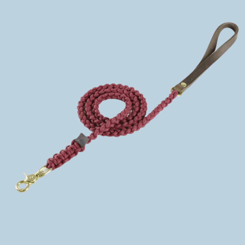 Molly & Stitch Hundeleine Tau S | Länge: 140 cm, Breite: 6 mm / Gold MOLLY&STITCH "TOUCH OF LEATHER" HUNDELEINE REDWINE