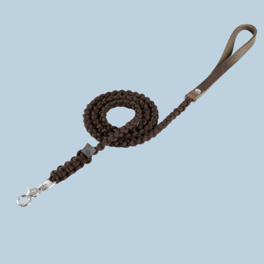 Molly & Stitch Hundeleine Tau S | Länge: 140 cm, Breite: 6 mm / Silber MOLLY&STITCH "TOUCH OF LEATHER" HUNDELEINE CHOCOLATE
