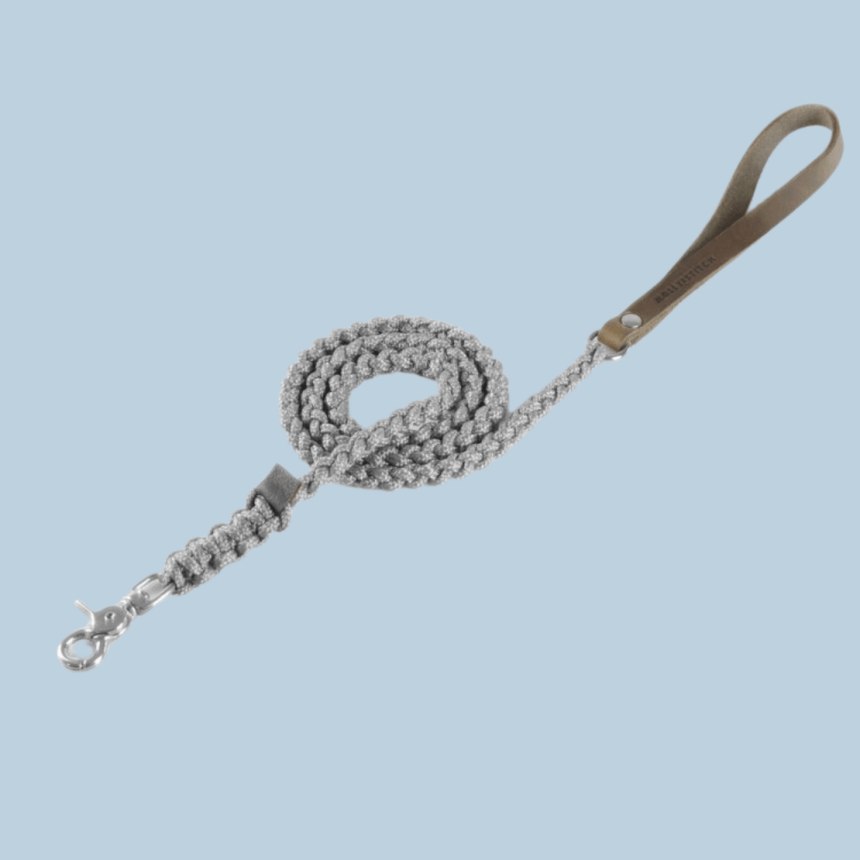 Molly & Stitch Hundeleine Tau S | Länge: 140 cm, Breite: 6 mm / Silber MOLLY&STITCH "TOUCH OF LEATHER" HUNDELEINE GREY