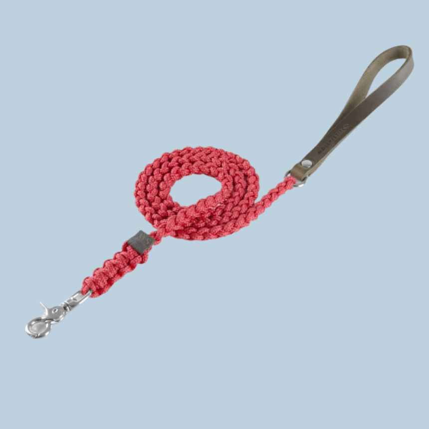 Molly & Stitch Hundeleine Tau S | Länge: 140 cm, Breite: 6 mm / Silber MOLLY&STITCH "TOUCH OF LEATHER" HUNDELEINE LIPSTICK