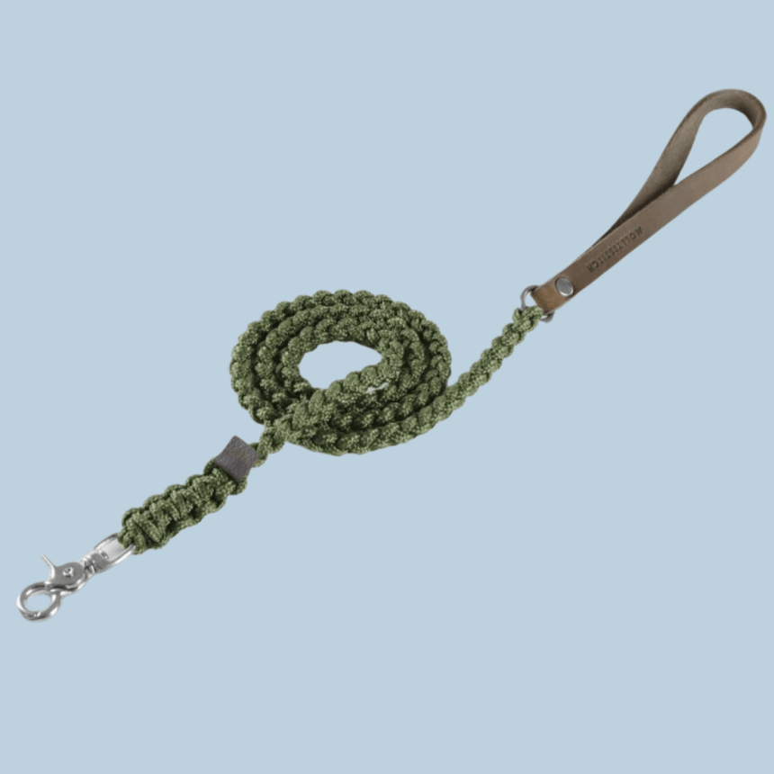 Molly & Stitch Hundeleine Tau S | Länge: 140 cm, Breite: 6 mm / Silber MOLLY&STITCH "TOUCH OF LEATHER" HUNDELEINE MILITARY