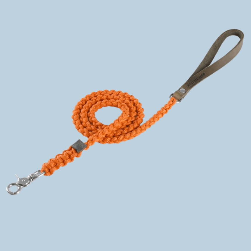 Molly & Stitch Hundeleine Tau S | Länge: 140 cm, Breite: 6 mm / Silber MOLLY&STITCH "TOUCH OF LEATHER" HUNDELEINE PUMPKIN