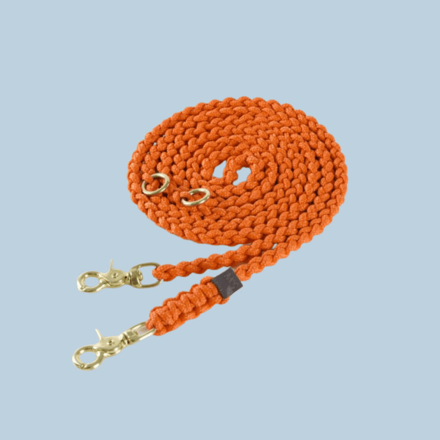 Molly & Stitch Hundeleine Tau S | Länge: 200 cm, Breite: 6 mm / Gold MOLLY&STITCH "MARITIME" HUNDELEINE PUMPKIN