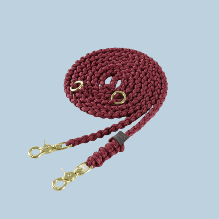 Molly & Stitch Hundeleine Tau S | Länge: 200 cm, Breite: 6 mm / Gold MOLLY&STITCH "MARITIME" HUNDELEINE REDWINE