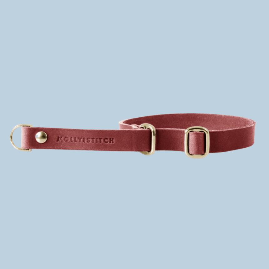 Molly & Stitch Retrieverhalsband Leder 50 cm Max. | Breite: 2,oo cm / Gold MOLLY&STITCH "BUTTER" RETRIEVER LEDERHALSBAND - CHILI ROT