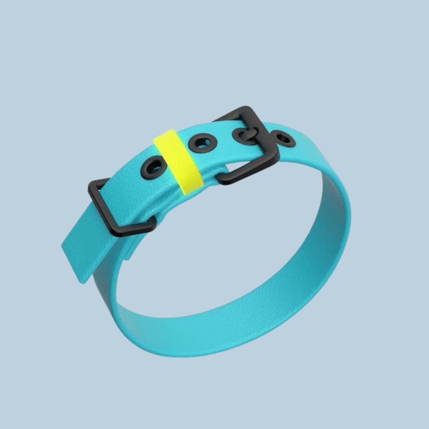 pawpow Hundehalsband Aqua / S pawpow HALSBAND C01