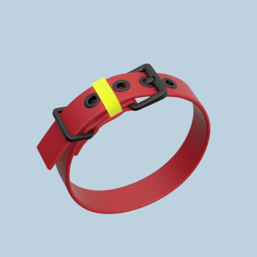 pawpow Hundehalsband Red / S pawpow HALSBAND C01