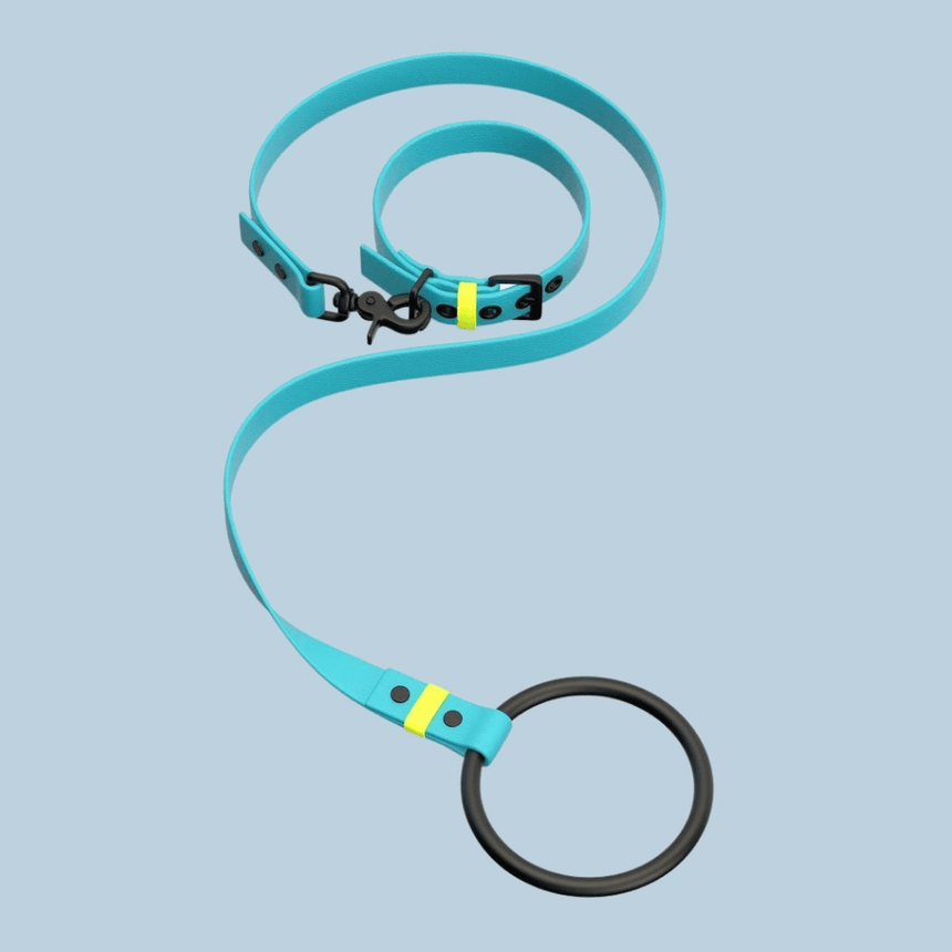 pawpow Hundeleine S / Aqua pawpow WALKING SET S01