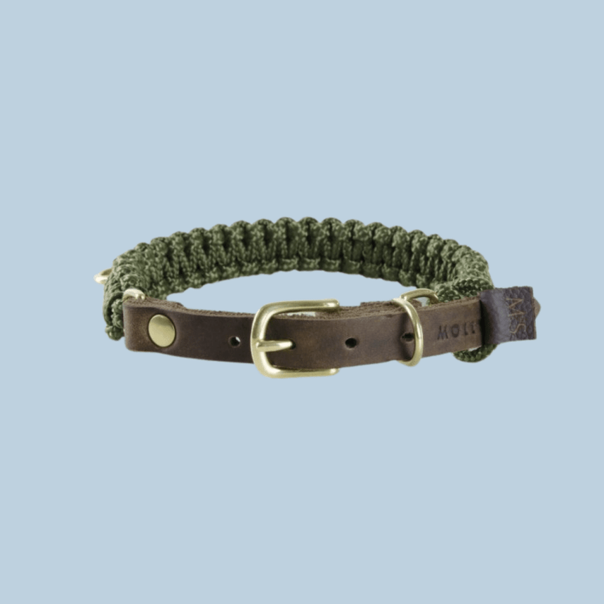 Molly & Stitch Hundehalsband Tau MOLLY&STITCH "TOUCH OF LEATHER" HUNDEHALSBAND MILITARY