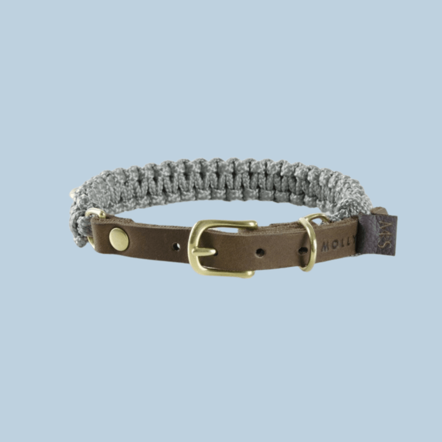 Molly & Stitch Hundehalsband Tau XS | 24cm-28cm | 1,2cm Breite / Gold MOLLY&STITCH "TOUCH OF LEATHER" HUNDEHALSBAND GREY