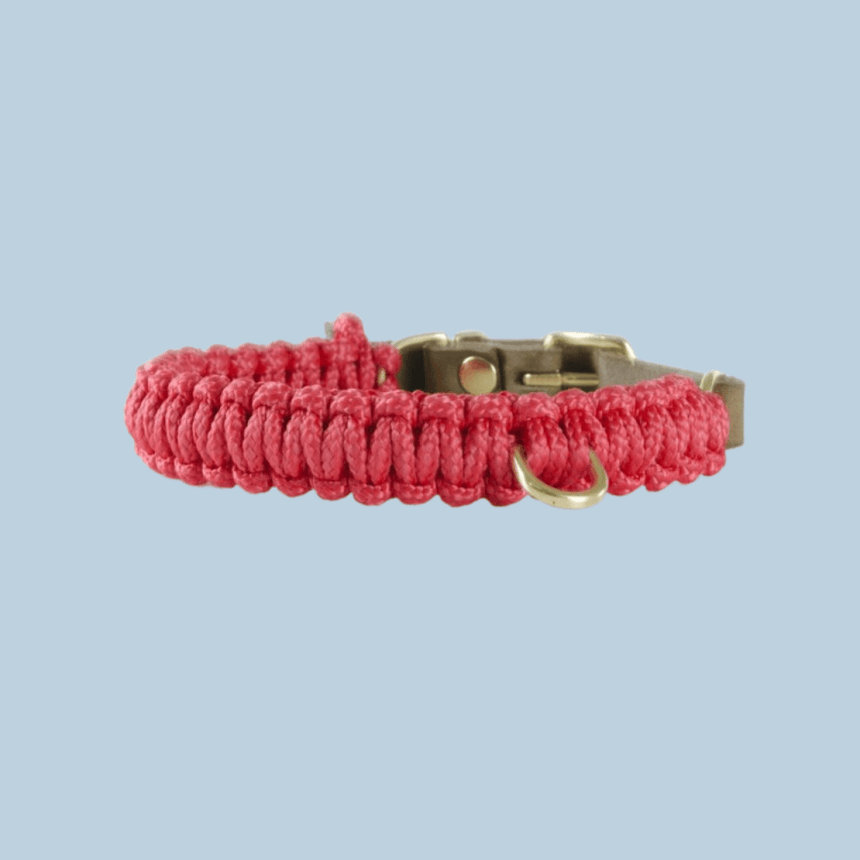 Molly & Stitch Hundehalsband Tau XS | 24cm-28cm | 1,2cm Breite / Gold MOLLY&STITCH "TOUCH OF LEATHER" HUNDEHALSBAND LIPSTICK