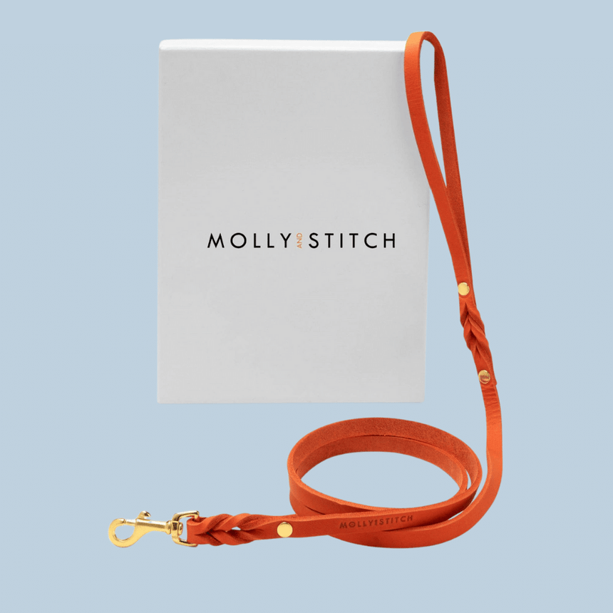 Molly & Stitch Hundelederleine S | Länge: 140 cm, Breite: 8 mm / Gold MOLLY&STITCH “BUTTER“ CITY HUNDELEINE - MANGO