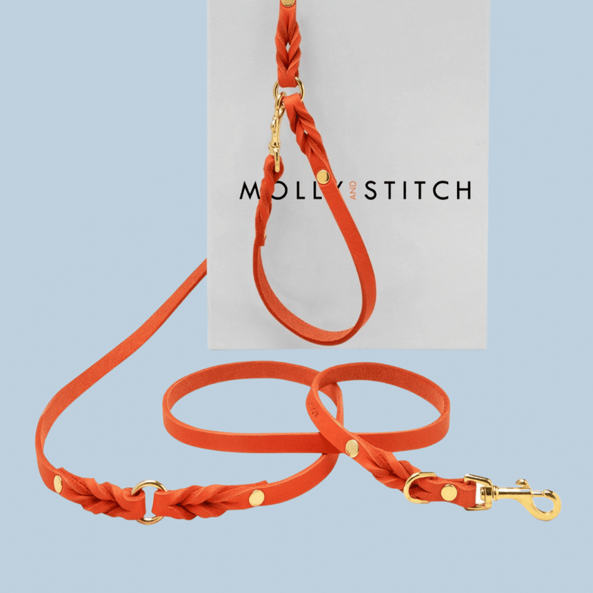 Molly & Stitch Hundelederleine S | Länge: 200 cm, Breite: 8 mm / Gold MOLLY&STITCH "BUTTER" Lederleine 3X VERSTELLBAR - MANGO